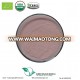 Bulk instant organic Pomegranate powder